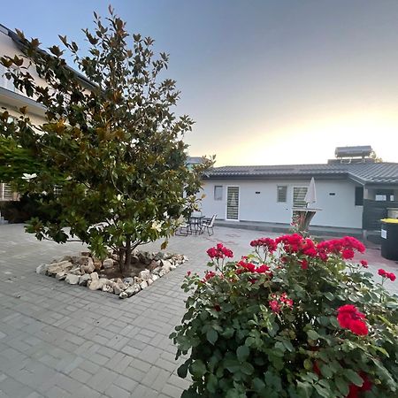 Dekor Hotel Costinesti Exterior photo